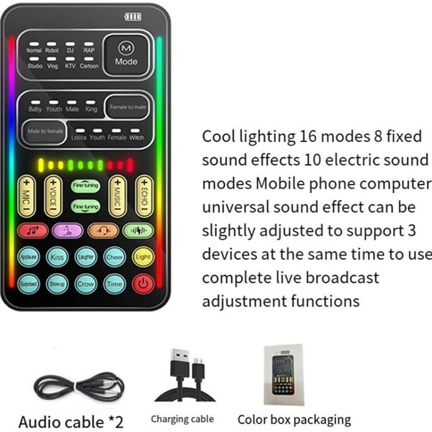 Portable Voice Modulator