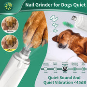 2-in-1 Pet Nail Trimmer & Grinder with LED Light