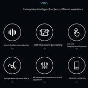 Portable Voice Modulator