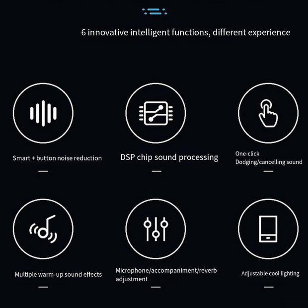 Portable Voice Modulator