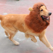 Lion Mane Dog Costume – Realistic Wig for Medium & Large Dogs
