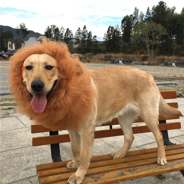 Lion Mane Dog Costume – Realistic Wig for Medium & Large Dogs
