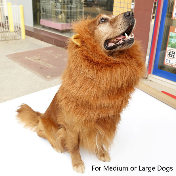 Lion Mane Dog Costume – Realistic Wig for Medium & Large Dogs