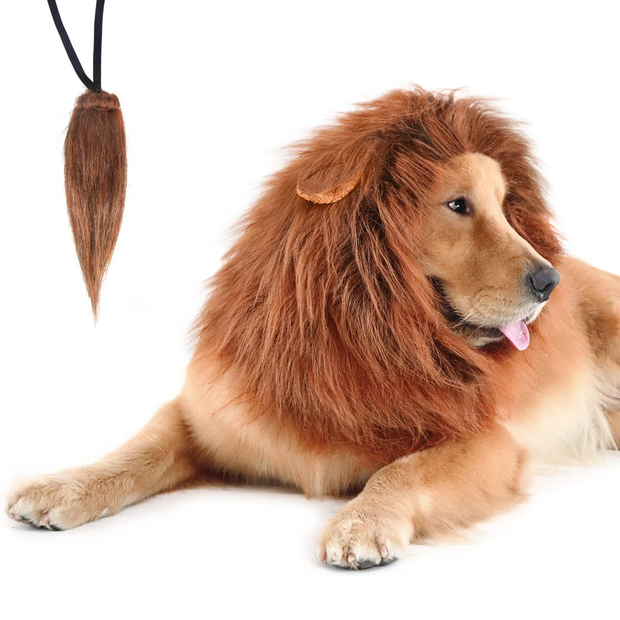 Lion Mane Dog Costume – Realistic Wig for Medium & Large Dogs